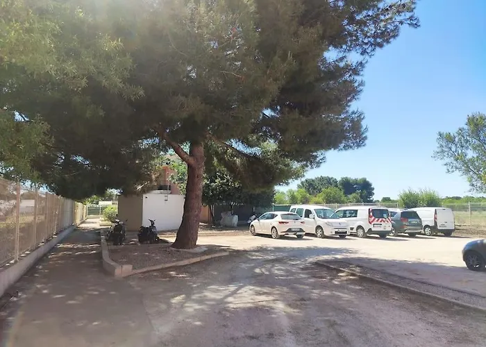 Harmonie Du Sud